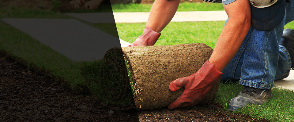 Pinehurst Landscapers